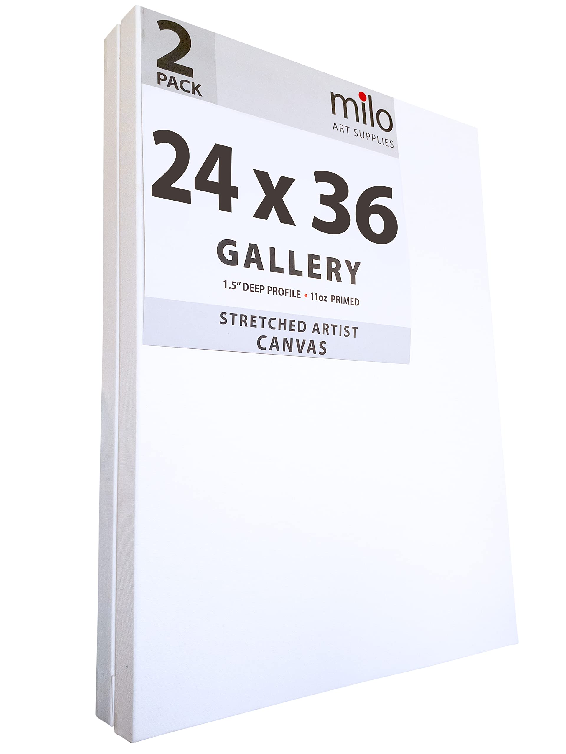 Hi-STANDARD　TM paint CANVAS Amazon.com: milo Stretched Artist Canvas | 24 x 36 inches | 2 Pack